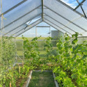 Serre de jardin 9,8m² en aluminium et polycarbonate 6mm Sanus UP! L10 – Gampre