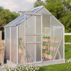 Serre de jardin Comet 2,5m² en aluminium anodisé et polycarbonate 4mm - Vitavia
