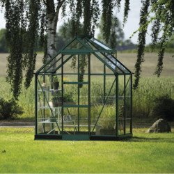 Serre de jardin 2,5m² en alu vert et verre horticole Icon 6 - Halls