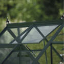 Serre de jardin 2,5m² en alu vert et verre horticole Icon 6 - Halls
