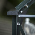 Serre de jardin 2,5m² en alu vert et verre horticole Icon 6 - Halls