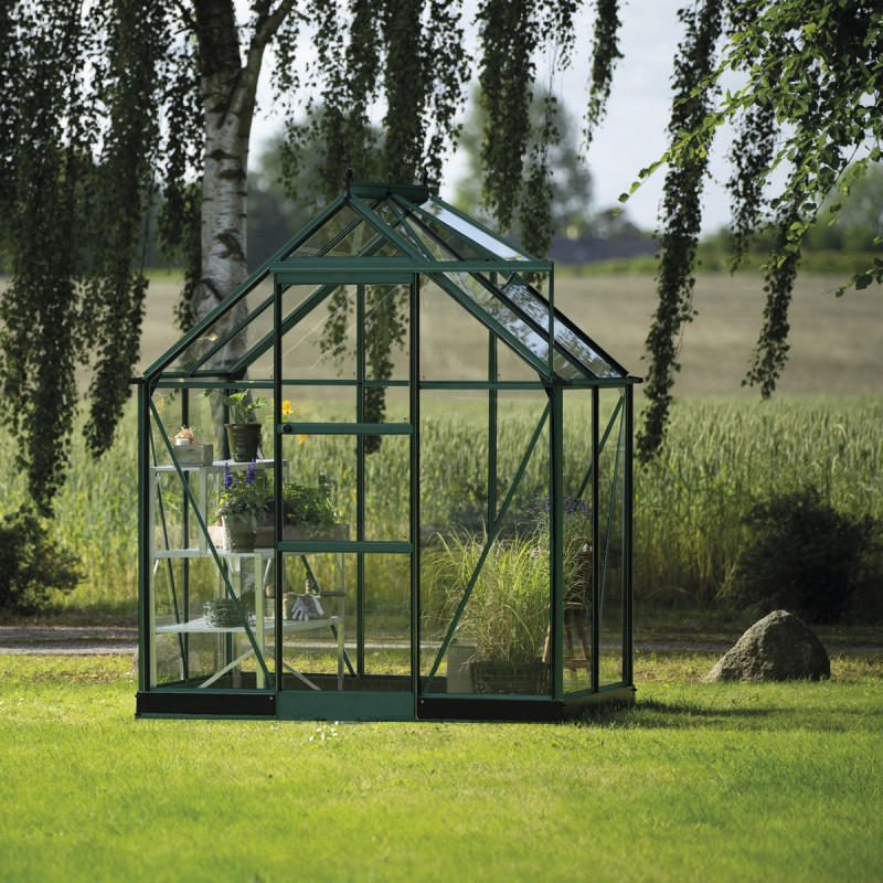 Serre de jardin 2,5m² en alu vert et verre trempé Icon 6 - Halls