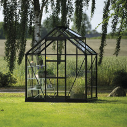 Serre de jardin 2,5m² en alu noir et verre horticole Icon 6 - Halls