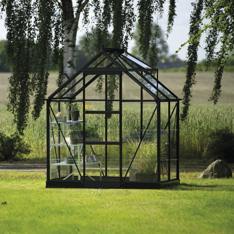 Serre de jardin 2,5m² en alu noir et verre horticole Icon 6 - Halls