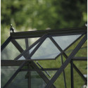 Serre de jardin 2,5m² en alu noir et verre horticole Icon 6 - Halls