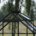 Serre de jardin 2,5m² en alu noir et verre trempé Icon 6 - Halls