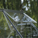 Serre de jardin 3,7m² en alu et verre horticole Icon 6 - Halls