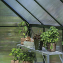 Serre de jardin 3,7m² en alu vert et polycarbonate Icon 6 - Halls
