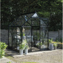 Serre de jardin 3,7m² en alu noir et verre trempé Icon 6 - Halls