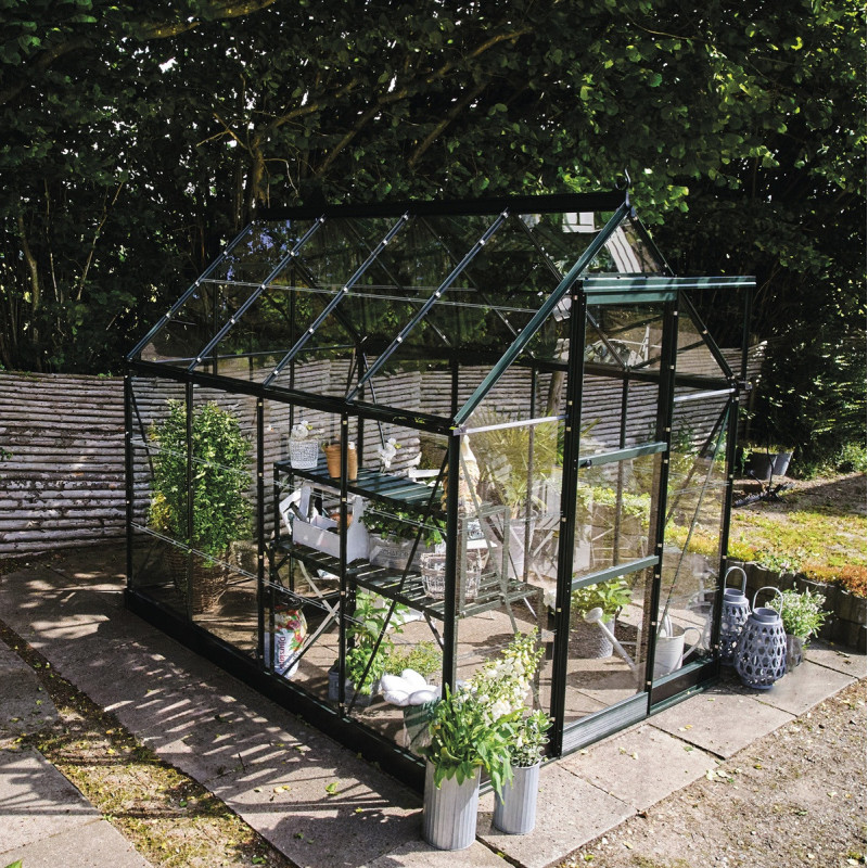 Serre de jardin 4,9m² en alu vert et verre horticole Icon 6 - Halls
