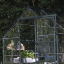 Serre de jardin 4,9m² en alu vert et verre horticole Icon 6 - Halls