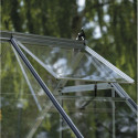 Serre de jardin 6,1m² en alu et verre horticole Icon 6 - Halls