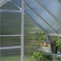 Serre de jardin 6,1m² en alu et polycarbonate Icon 6 - Halls