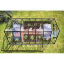 Serre de jardin 11,2m² en alu vert et verre horticole Icon 8 - Halls