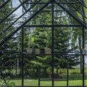 Serre de jardin 11,2m² en alu noir et verre trempé Icon 8 - Halls