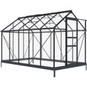 Serre en verre securit 4mm Rinca 192x308cm Green Protect
