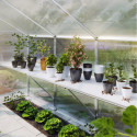 Table de rangement en alu pour serre de jardin 10m² Iris IV - KGT