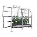 Serre de jardin 200x200cm en acier et polycarbonate - Klasika