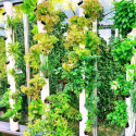 Kit aquaponique Deluxe MyFarm avec modules empilables, production bio