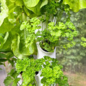 Kit aquaponique Deluxe MyFarm avec modules empilables, production bio