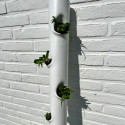 Kit aquaponique Deluxe MyFarm avec modules empilables, production bio