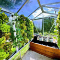 Kit aquaponique Deluxe MyFarm avec modules empilables, production bio