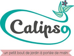 Calipso